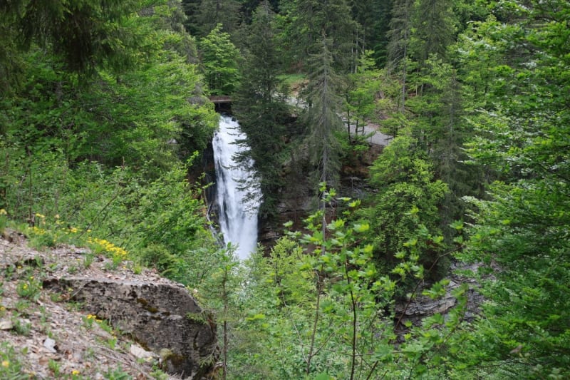 Randonnée cascade d'Ardent : chute d'eau au milieu d'une forêt verdoyante