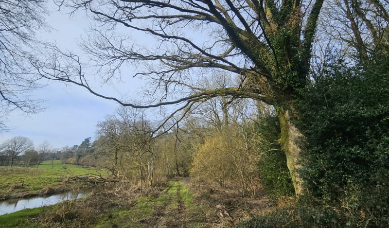 Promenons nous dans les bois à Saint Jean Brévelay - Saint-Jean-Brévelay