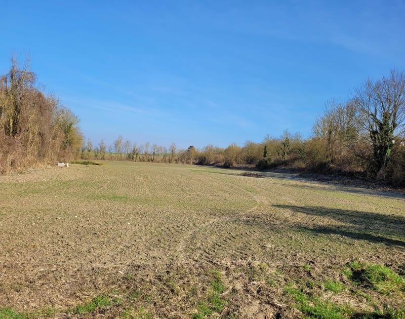 Champs autour d'Ailly sur Noye - Ailly-sur-Noye