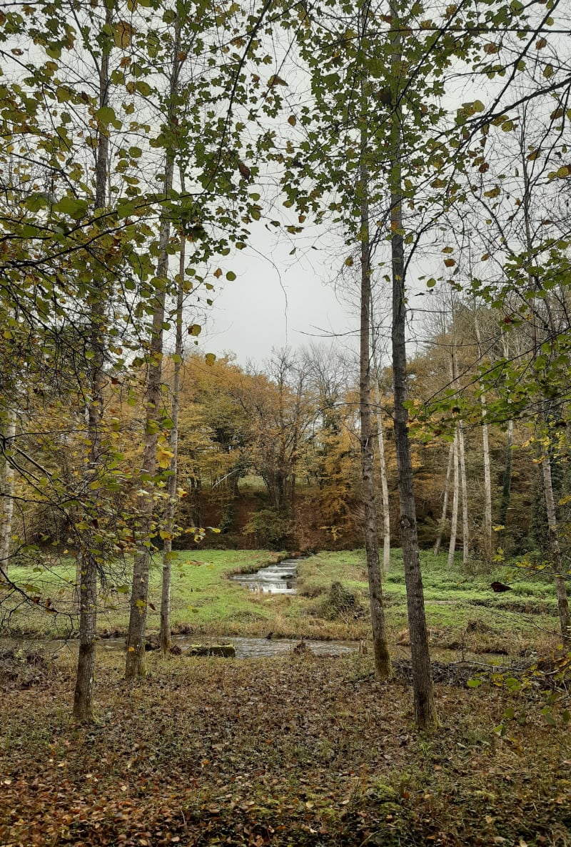 Espace Naturel Sensible de Côte Manin depuis Saint-Blaise-du-Buis - Saint-Blaise-du-Buis