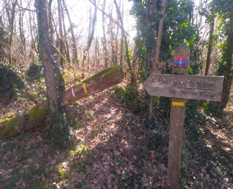 Foret de la Vaysse Cransac - Cransac