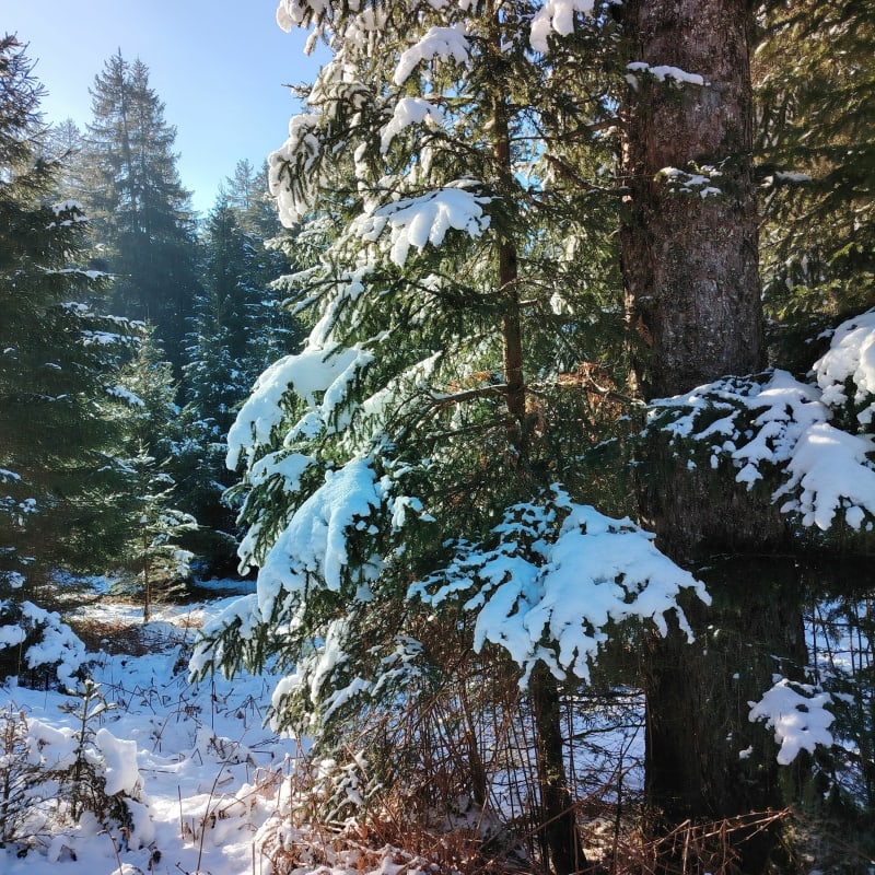Col de la Prayé - Moussey