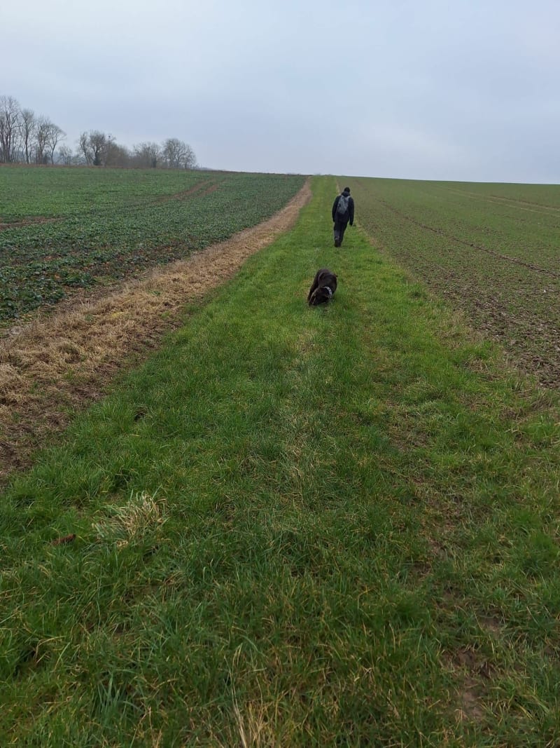 Marche tranquille à Le Plessier-Rozainvillers - Le Plessier-Rozainvillers