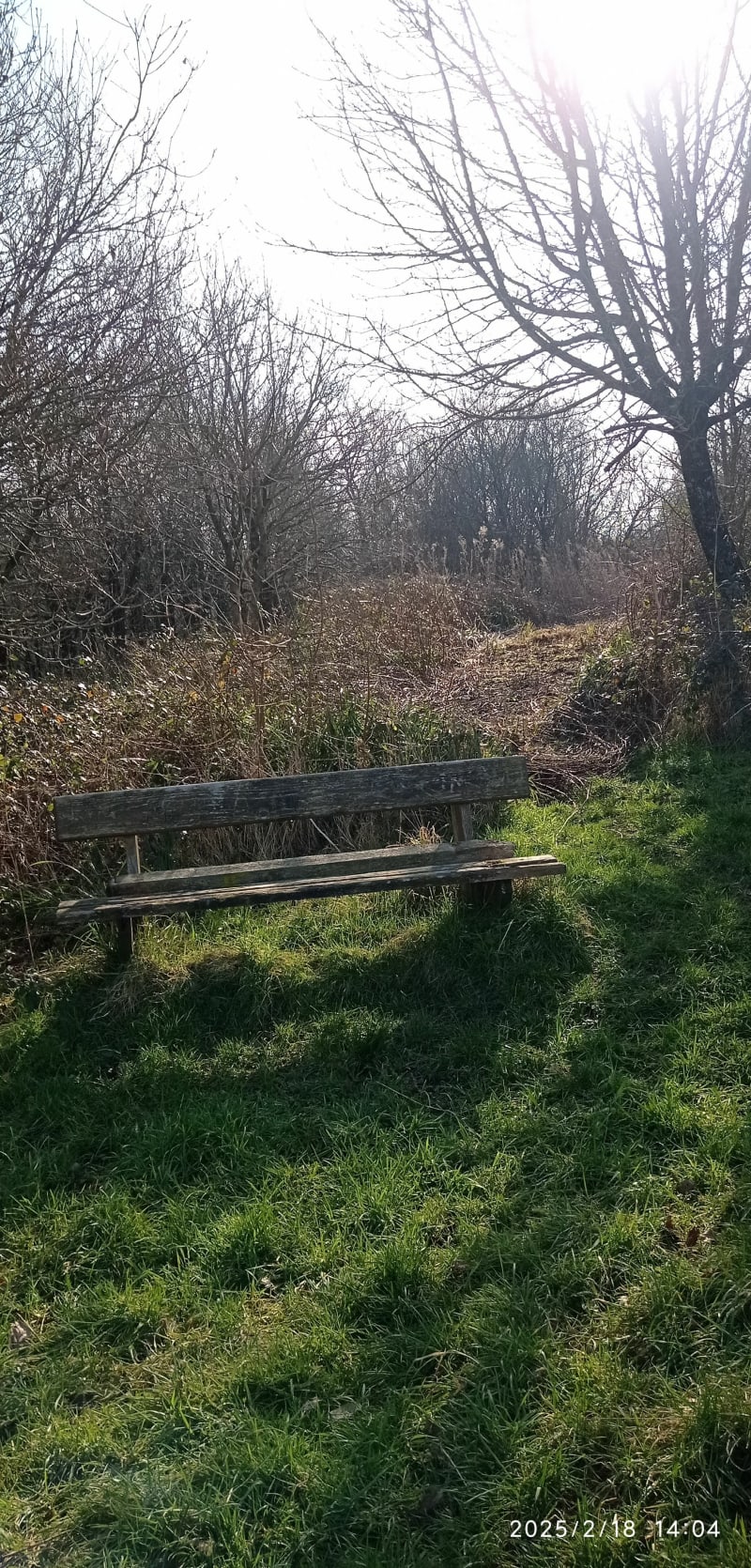 Balade dans la forêt d'Hardelot - Condette