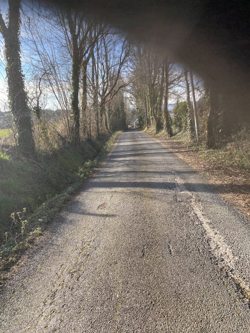Petite promenade dans les hauteurs de Juillac, par le Puytinaud - Juillac