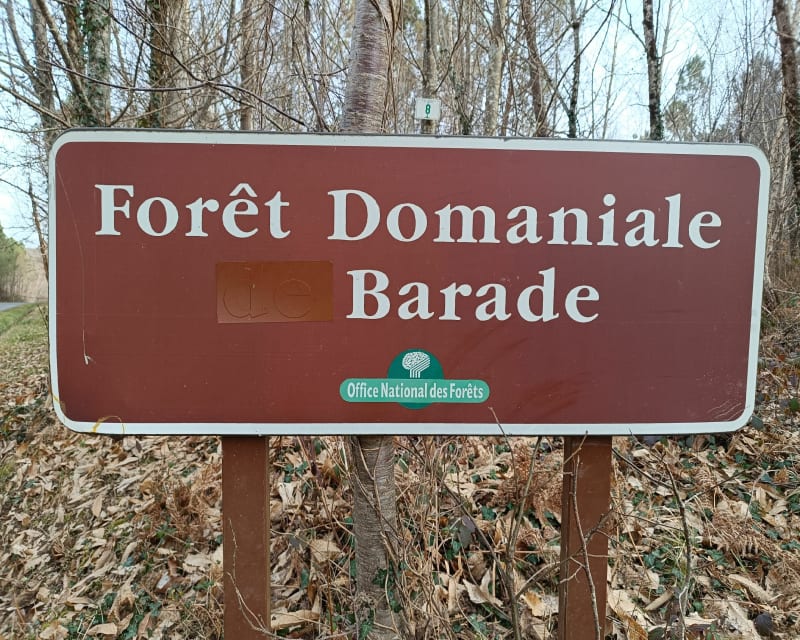 Marche de la Stèle - Fossemagne