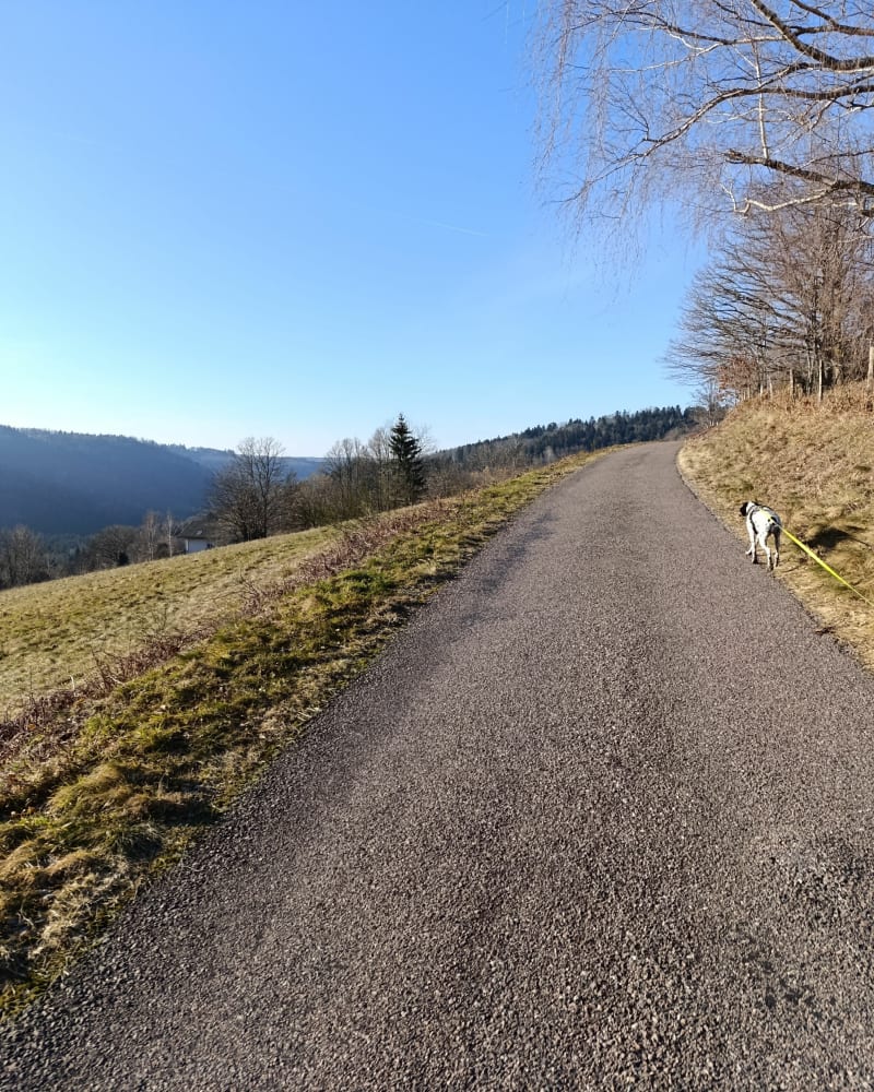 Rando de la vallée de Tendon - Le Tholy