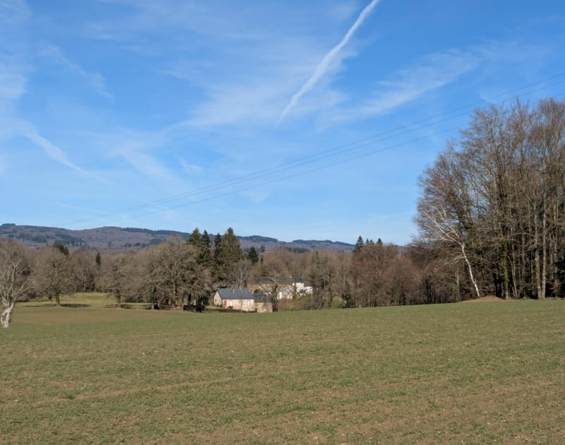 Circuit de la mûre aux Billanges - Les Billanges