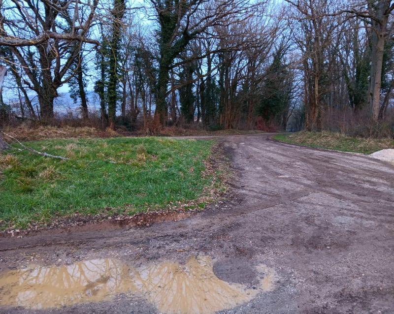 Balade mi-chemin mi-forêt à Genay - Genay