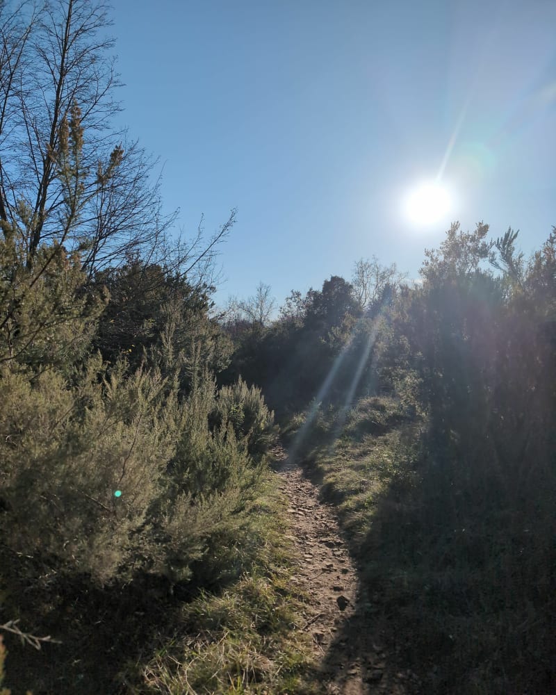 Petite boucle sur les hauteurs de Châteauneuf-de-Grasse - Châteauneuf-Grasse