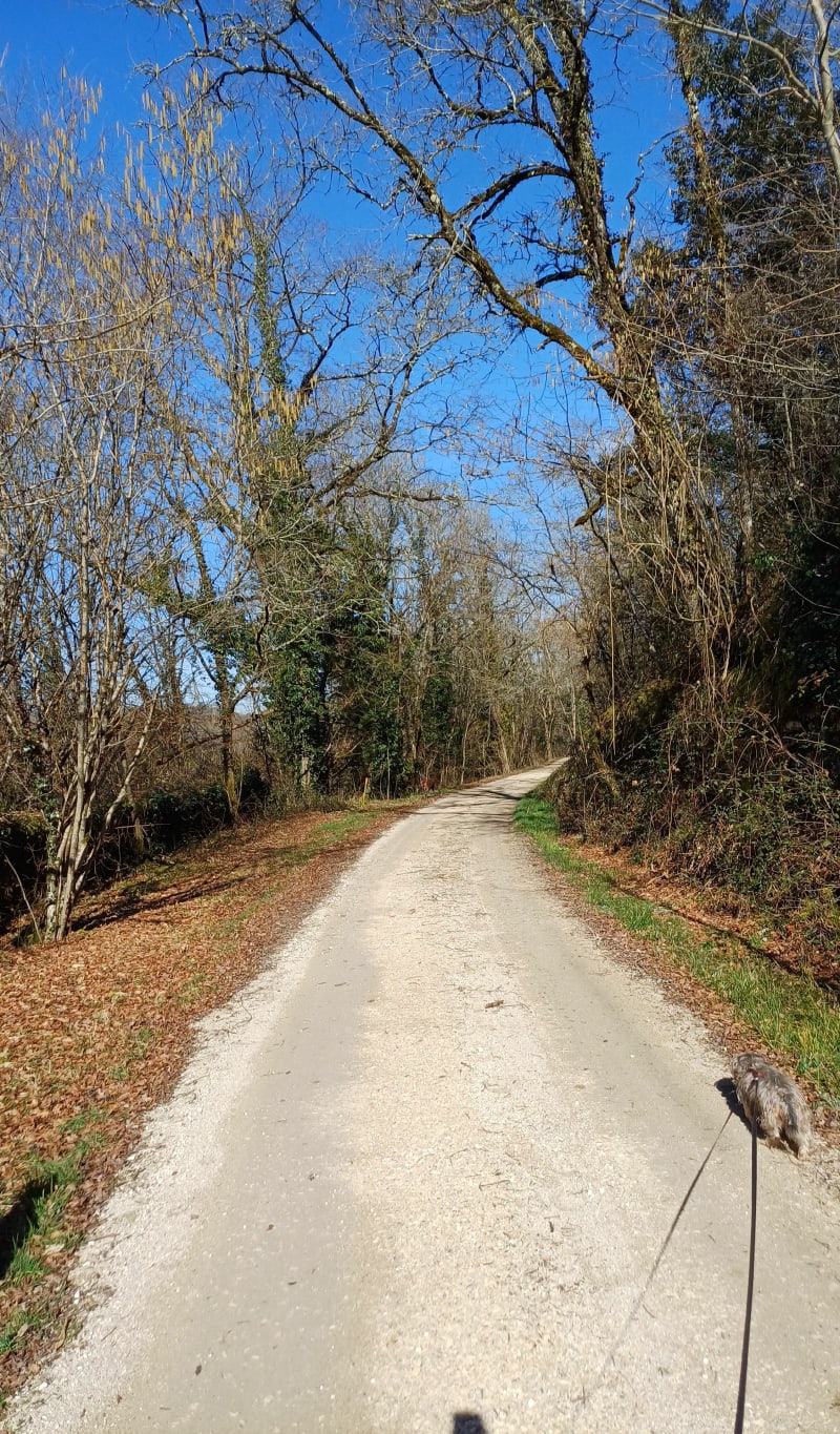Balade en terrain plat, sur le Chemin Blanc, par Aux Ans - Archignac