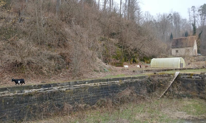 Tour entre vallée et forêt à Henridorff - Henridorff