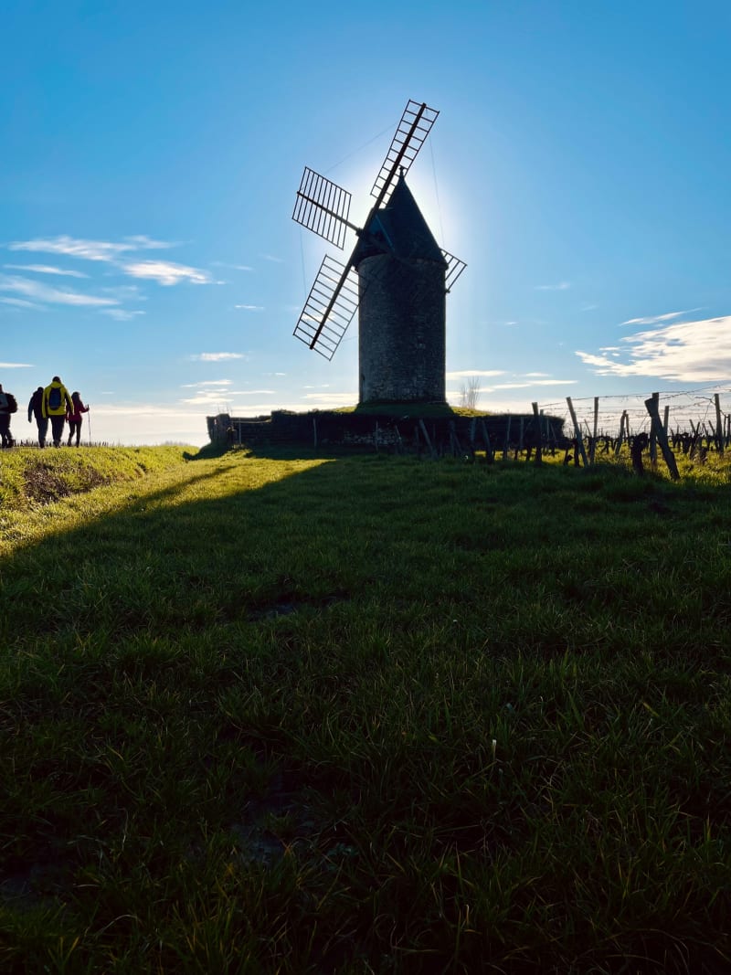 Boucle Saint-Aubin-de-Branne, par la Hage - Saint-Aubin-de-Branne