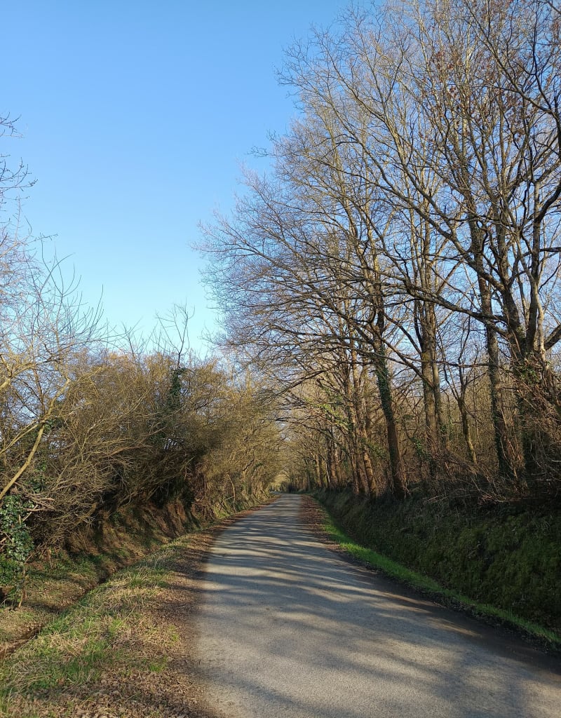 Balade en campagne à Juvardeil - Juvardeil