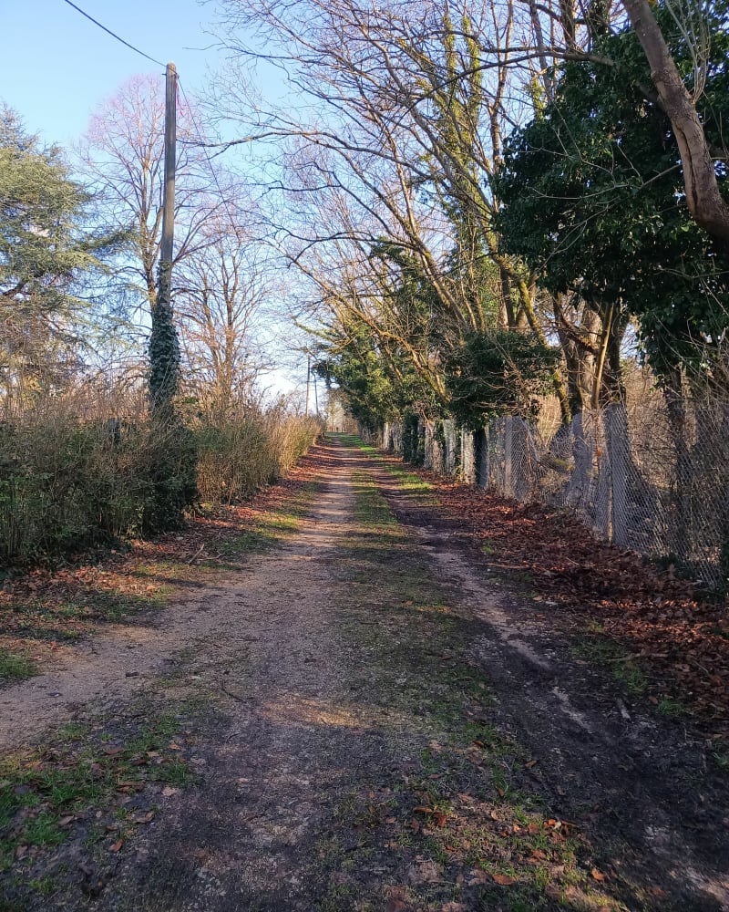 Balade VTT tranquille à Damparis - Damparis