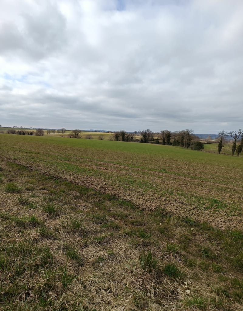 Balade aux abords de Naucelle par Soulages - Naucelle