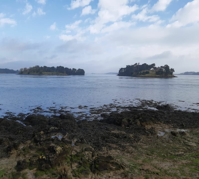 Balade à la Pointe de la Palisse - Arzon