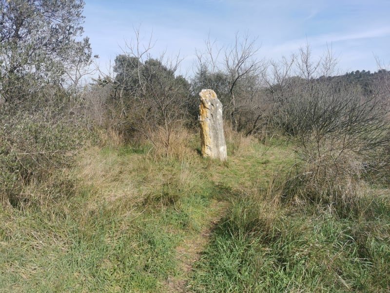 De Nîmes à Poulx par Courbessac à VTT - Nîmes