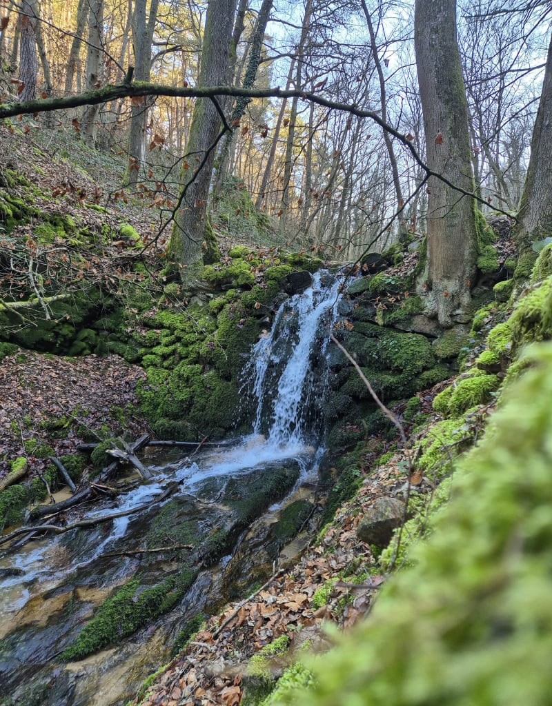 Promenade à Condamine et Côtes Chaudes - Saint-Étienne