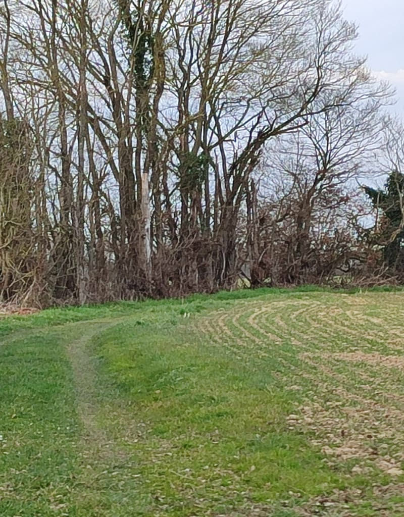 Entre canal et terre, par Châtillon-Coligny - Sainte-Geneviève-des-Bois