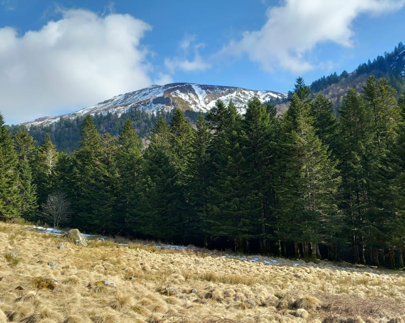 Tour du Puy d'Orset - Le Fau