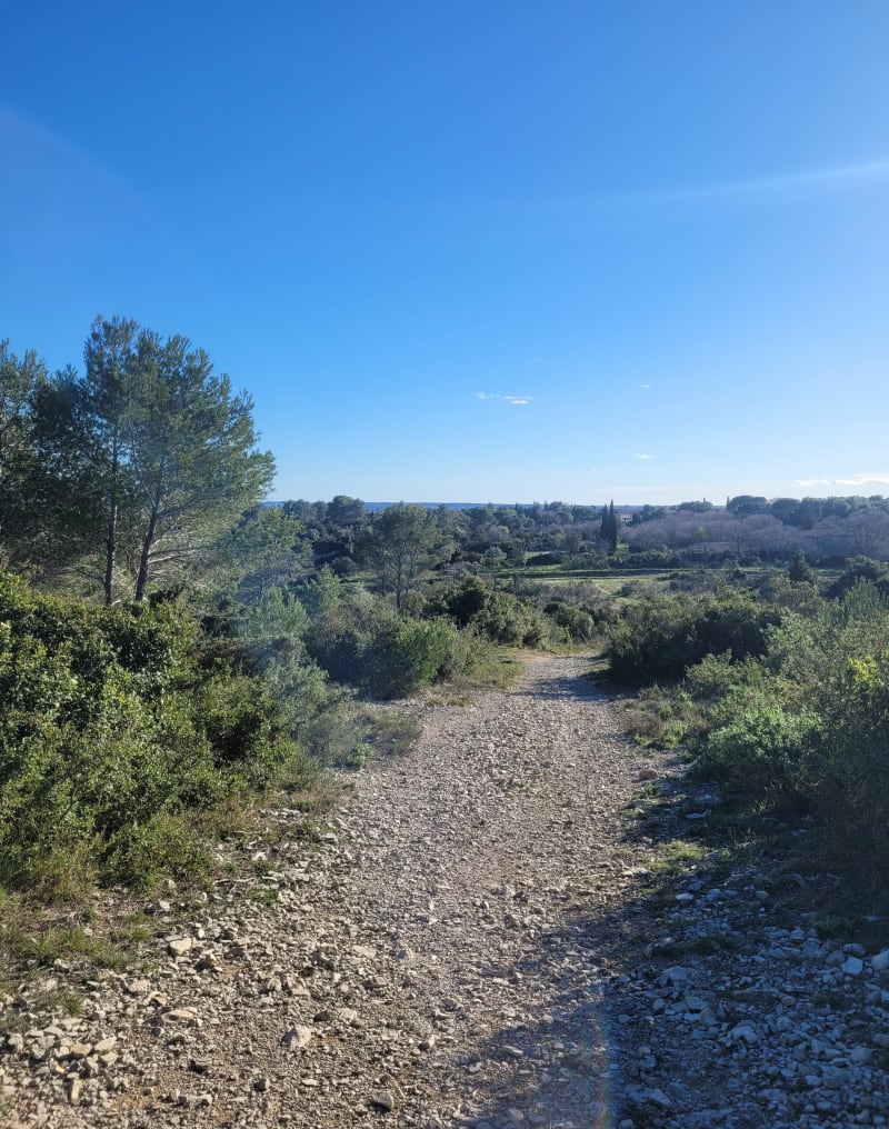 Terre de Rouviere - Nîmes