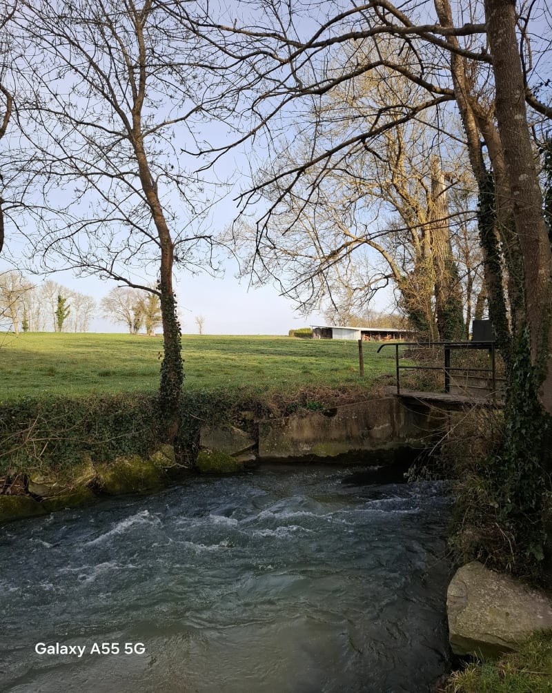 Balzac Charente - Balzac