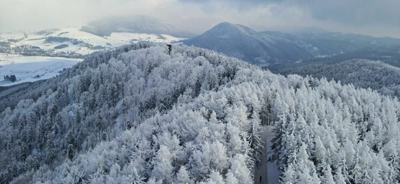 Dzikowiec Góra - Boguszów-Gorce