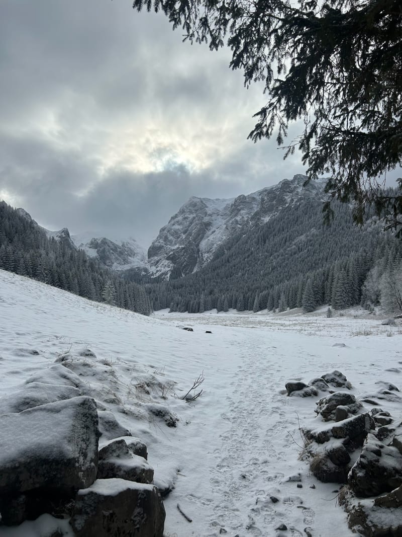 Tatrzańskie doliny - Zakopane