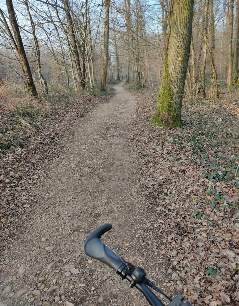 Entre ville et nature par la forêt de Seillon - Bourg-en-Bresse