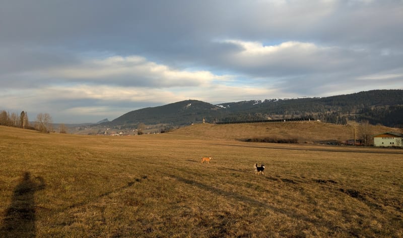 Lac Saint Point et vue sur le Mont d'Or - Malbuisson
