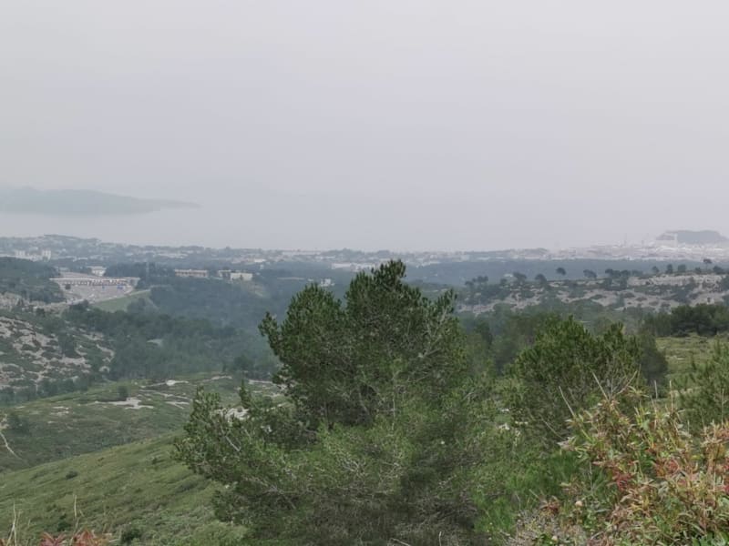 Forêt dominicale de Cassis - Cassis