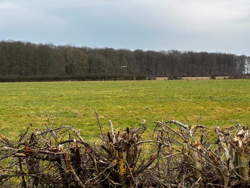 Randonnée depuis le parking des Bréviaires - Les Bréviaires