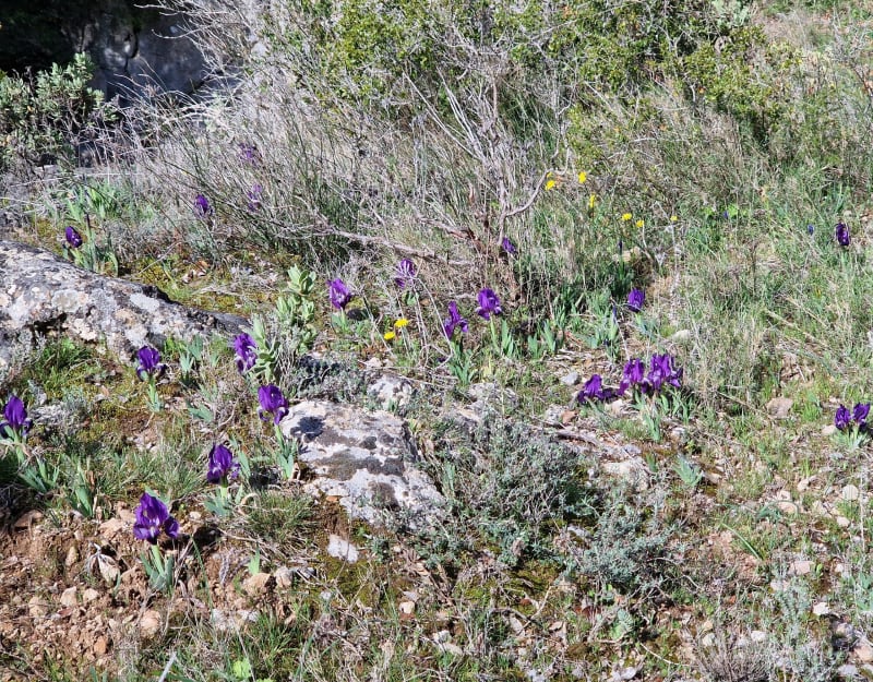 Sentier du marbre - Villeneuve-Minervois