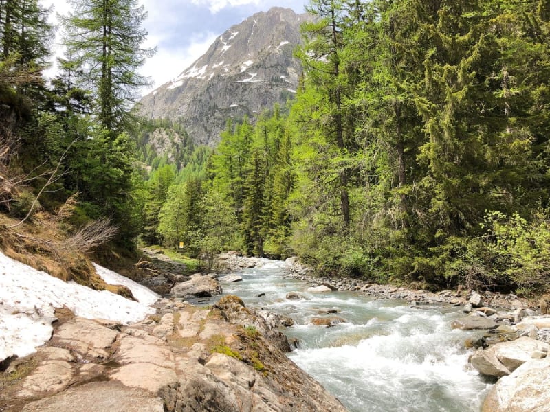 Randonnée cascade de Bérard : eau serpentant auprès de roches, arbres verdoyants et montagne au fond