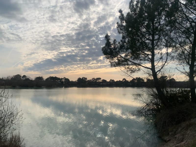 De Gossemin à Paloumey entre forêts, vignoble et lacs - Le Pian-Médoc