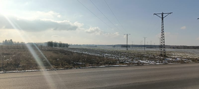 Spacerek po lesie - Parczew