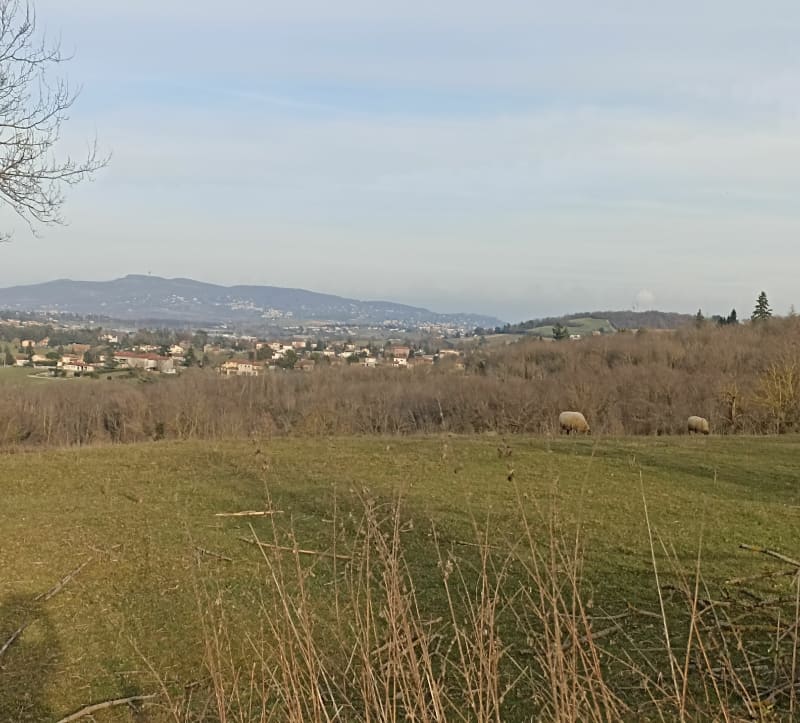Lentilly - Fleurieux - Éveux - Lentilly