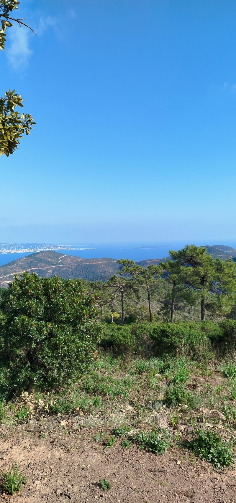 Sortie dans le massif de l'Esterel - Pégomas