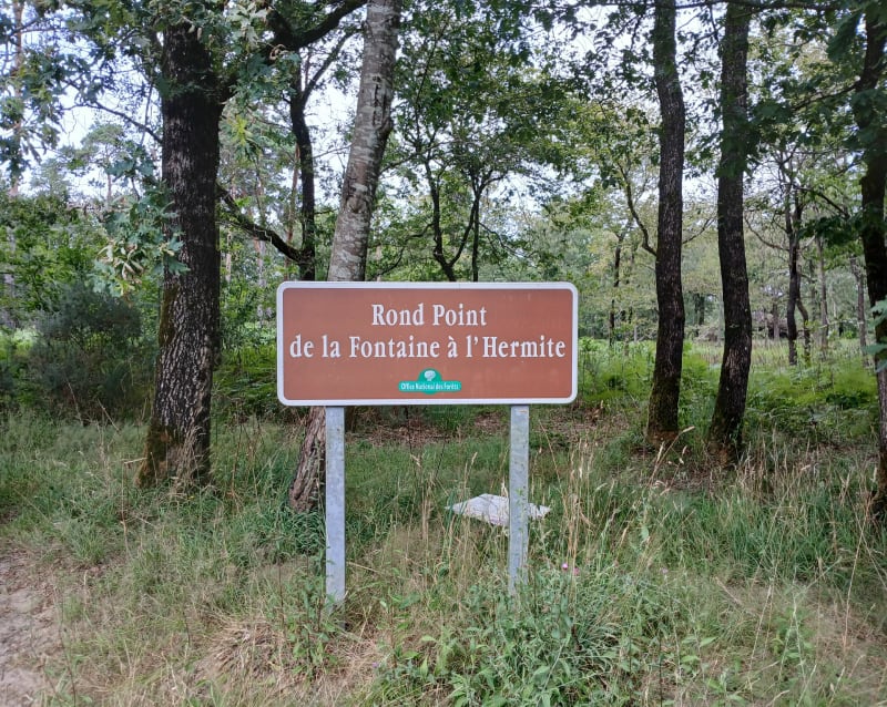 Boucle en forêt de Mervent - L'Orbrie