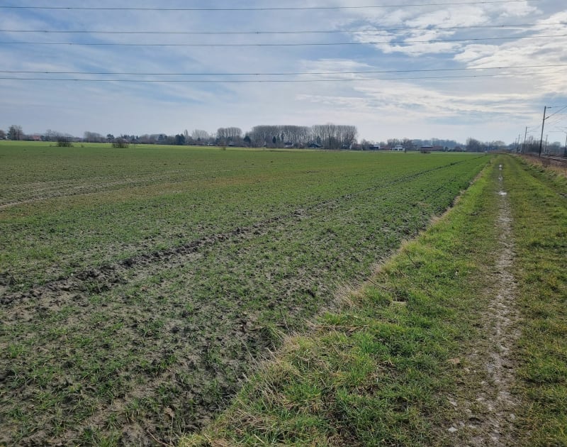 Boucle du paradis par le Marais du Fourneau - Templeuve-en-Pévèle