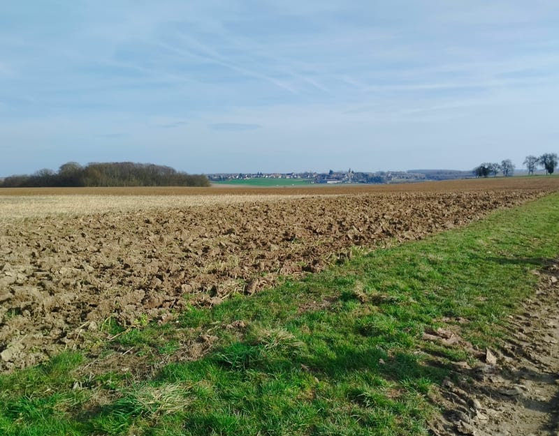 Boucle autour de Gastins - Gastins