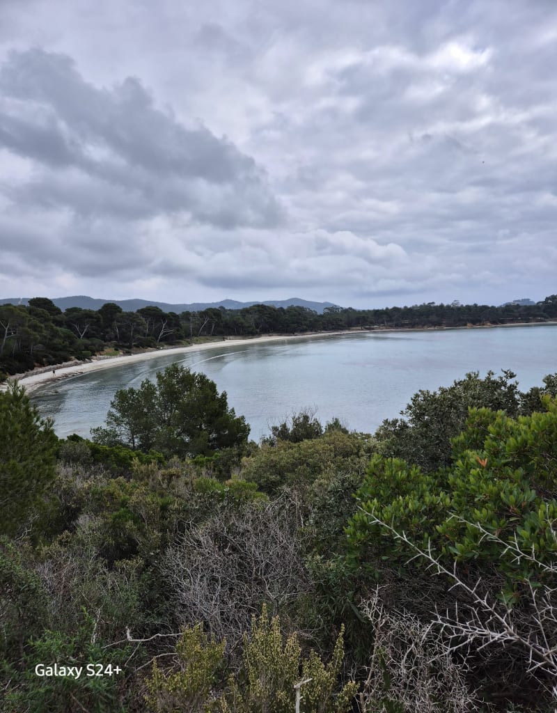 Chemin du littoral depuis la Londe retour sur la départementale - La Londe-les-Maures