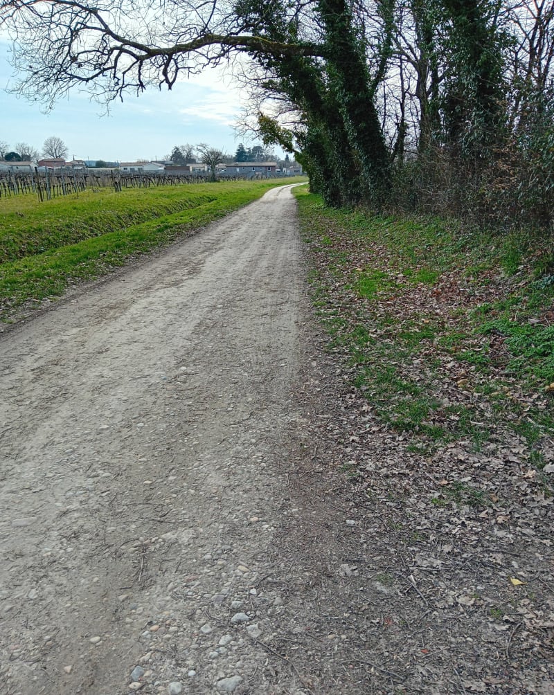 Belle balade à Salignac. - Val-de-Virvée