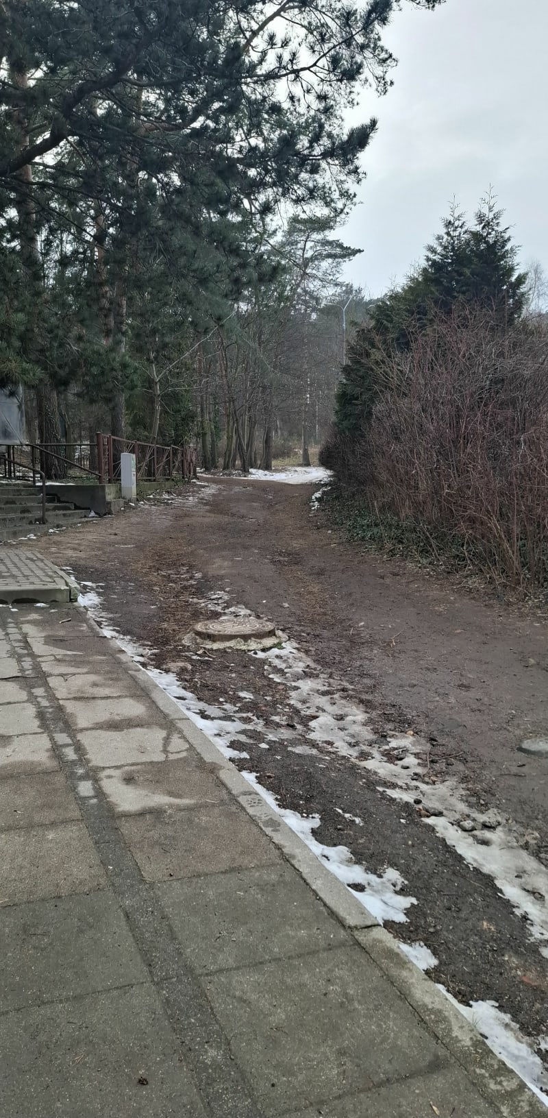 Przez Oliwę i Niedzwiednik - Gdańsk