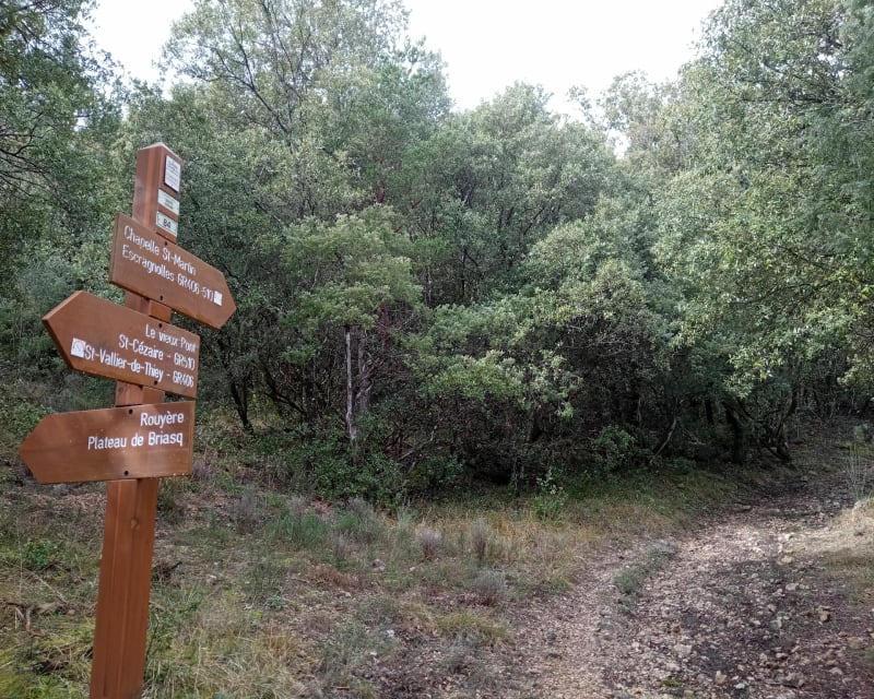 Boucle St Vallier - Escragnolles - Saint-Vallier-de-Thiey
