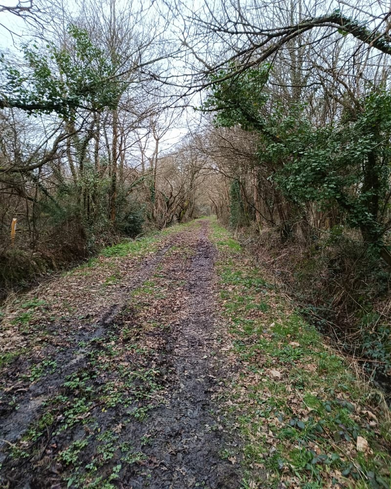 Balade au nord de la Chapelle sur Erdre - La Chapelle-sur-Erdre