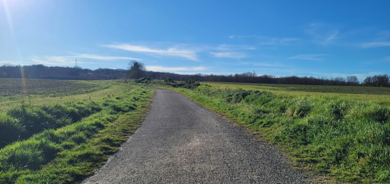 Sentier Botanique de Mauressac - Mauressac