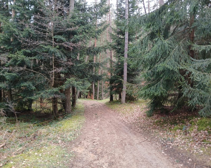 Boucle entre bois et rivière prés de Pontempeyrat - Craponne-sur-Arzon