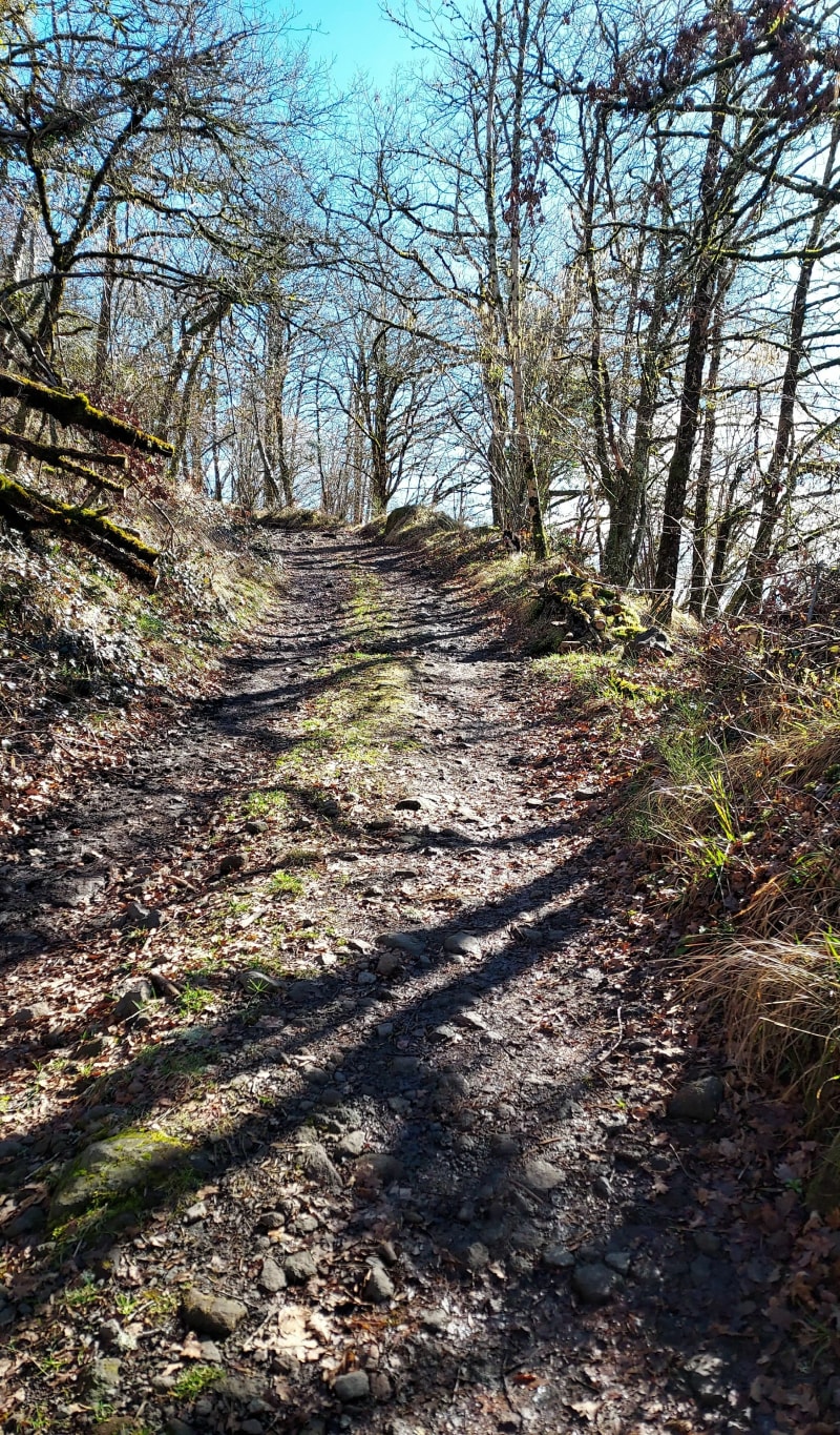 De Thourou à Tournemire - Saint-Cernin